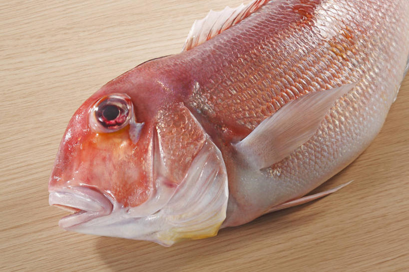 海鲜,无人,横图,俯视,室内,特写,白天,桌面,桌子,一条,阴影,反射,木制,影子,水产,海洋生物,红色,木制品,张嘴,水生动物,海产品,水生物,张大嘴巴,海底动物,白方头鱼,方头鱼,甘鲷,红马头,马头鱼,银方头鱼,张开嘴,半身,彩图,高角度拍摄