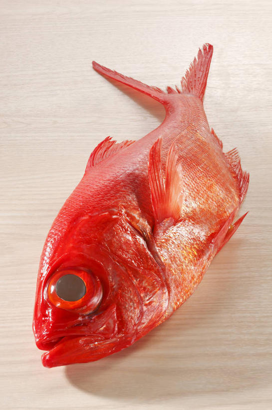 无人,竖图,俯视,室内,特写,白天,桌面,桌子,一条,阴影,反射,木制,鱼,影子,鲷鱼,鱼类,海洋生物,红色,木制品,鲷,加吉鱼,金眼鲷,铜盆鱼,水生动物,水生物,海底动物,班加吉,加真鲷,彩图,高角度拍摄,全身