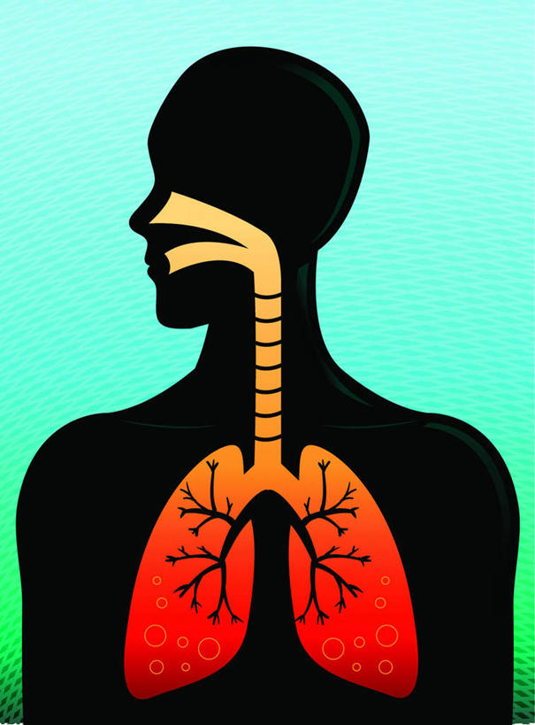 西方人,内脏,肺,气管,动脉,静脉,一个人,无人,竖图,插画,室内,白天,正面,数码,科技,静物,欧洲,欧洲人,仅一个男性,仅一个人,阴影,蓝色背景,网络,医学,高光,几何,计算机图形,合成,图画,画,仅一个年轻男性,模型,人体,电脑合成图,数码合成图,生物学,人体器官,器官,漫画,生理学,写实,具体,具象,肺泡,男人,男性,年轻男性,白种人,肺部,肺脏,半身,彩图