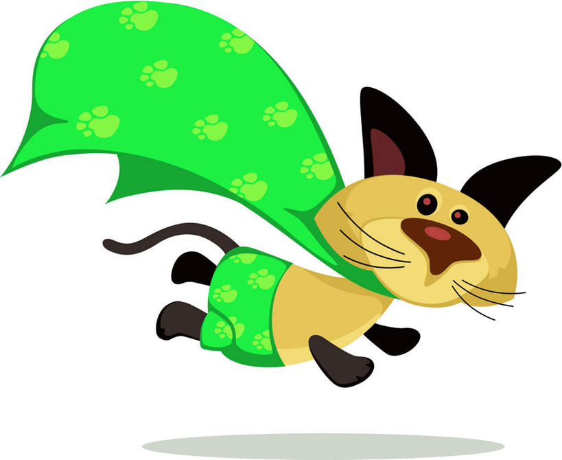 无人,跑,横图,插画,室内,白天,白色背景,正面,锻炼,运动,数码,科技,宠物,猫,一条,阴影,网络,圆点,高光,几何,计算机图形,合成,图画,画,动物,披风,可爱,电脑合成图,数码合成图,猫咪,漫画,写实,具体,具象,体育,跑步,彩图,全身,健身