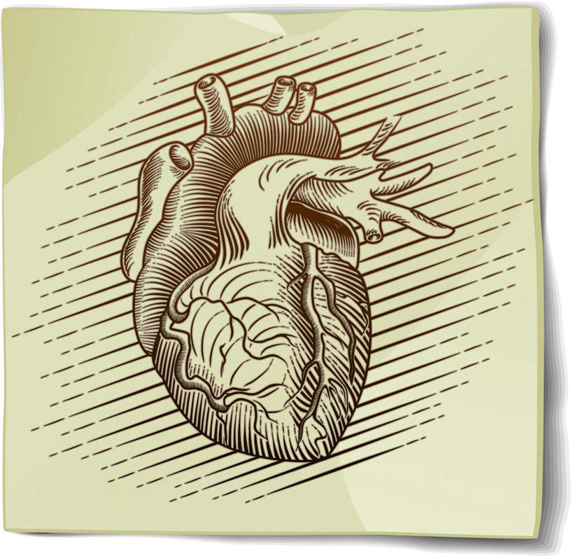 内脏,心脏,动脉,静脉,无人,横图,俯视,插画,室内,白天,数码,科技,静物,阴影,黄色背景,反射,网络,影子,高光,几何,计算机图形,合成,图画,画,模型,人体,电脑合成图,数码合成图,生物学,器官,漫画,心血管,心房,心室,生理学,写实,具体,具象,庞杂,紊乱,错乱,心,彩图,高角度拍摄