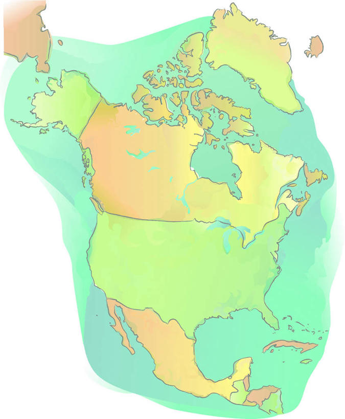 无人,律师,竖图,插画,室内,白天,正面,数码,科技,道路,地图,美国,阴影,网络,信息,棕色,交通,高光,几何,计算机图形,合成,图画,方向,画,蓝色,引导,指引,电脑合成图,数码合成图,北美,北美洲,美洲,漫画,写实,具体,具象,北亚美利加洲,亚美利加洲,彩图,导航