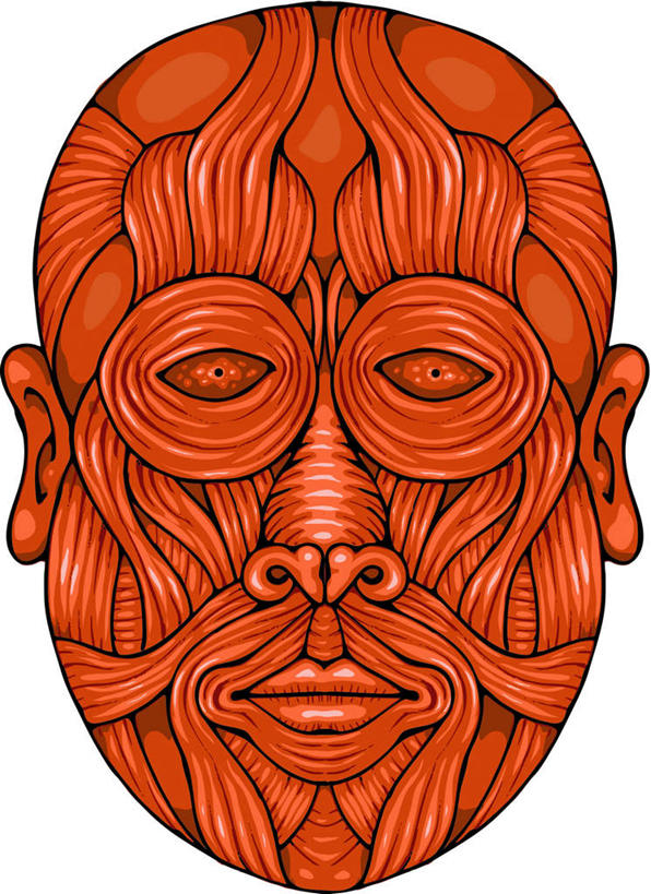 肌肉,健壮,无人,竖图,插画,室内,白天,白色背景,正面,数码,科技,阴影,网络,高光,几何,计算机图形,合成,图画,注视,画,观察,看,健康,活力,力量,观看,青春,电脑合成图,数码合成图,察看,解剖,强壮,关注,漫画,写实,具体,具象,彩图,剖解