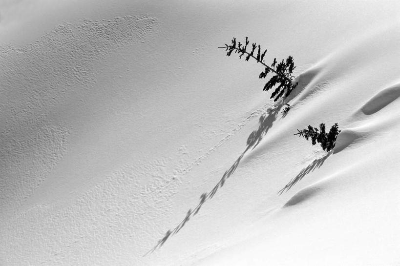 无人,横图,室外,白天,正面,旅游,度假,美景,山,山脉,树林,雪,植物,大雪,阴影,光线,影子,积雪,景观,山峰,雪景,冬季,冬天,山峦,娱乐,树,树木,绿色,阳光,自然,群山,享受,休闲,景色,放松,寒冷,生长,成长,自然风光,严寒,彩图