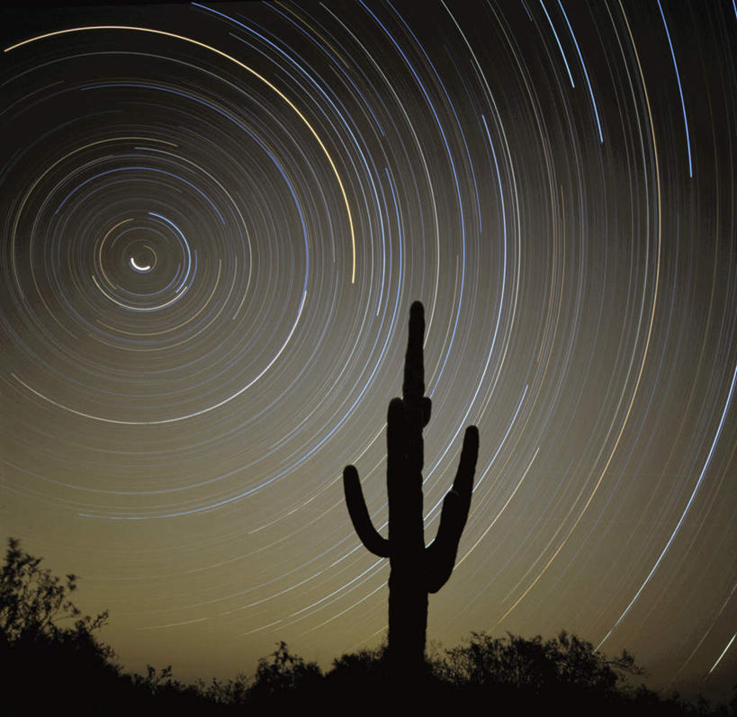 无人,横图,室外,夜晚,正面,旅游,度假,美景,植物,仙人掌,美国,阴影,梦幻,发光,反射,光束,火焰,影子,景观,草药,光亮,光圈,娱乐,中药,树,树木,自然,享受,休闲,景色,放松,亚利桑那,北美,北美洲,未来,发亮,自然风光,美洲,药材,中草药,憧憬,亚利桑那州,中药材,本草,大峡谷之州,牛舌头,北亚美利加洲,亚美利加洲,玉芙蓉,仙巴掌,火掌,霸王树,彩图