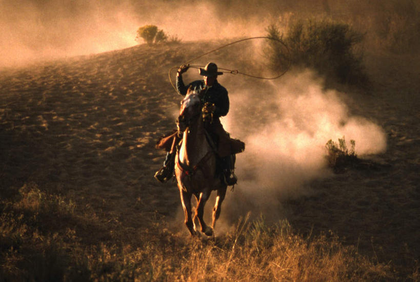 西方人,一个人,横图,室外,白天,正面,荒凉,日落,沙漠,植物,马,野生动物,欧洲,欧洲人,仅一个男性,仅一个人,阴影,枯萎,光线,影子,荒野,晚霞,霞光,落日,枯草,草,仅一个年轻男性,骑,黄色,绿色,阳光,黄昏,动物,彩霞,运输,牲畜,生长,成长,荒原,冷落,夕照,男人,男性,年轻男性,白种人,大漠,荒芜,砂漠,夕阳,彩图,全身,斜阳