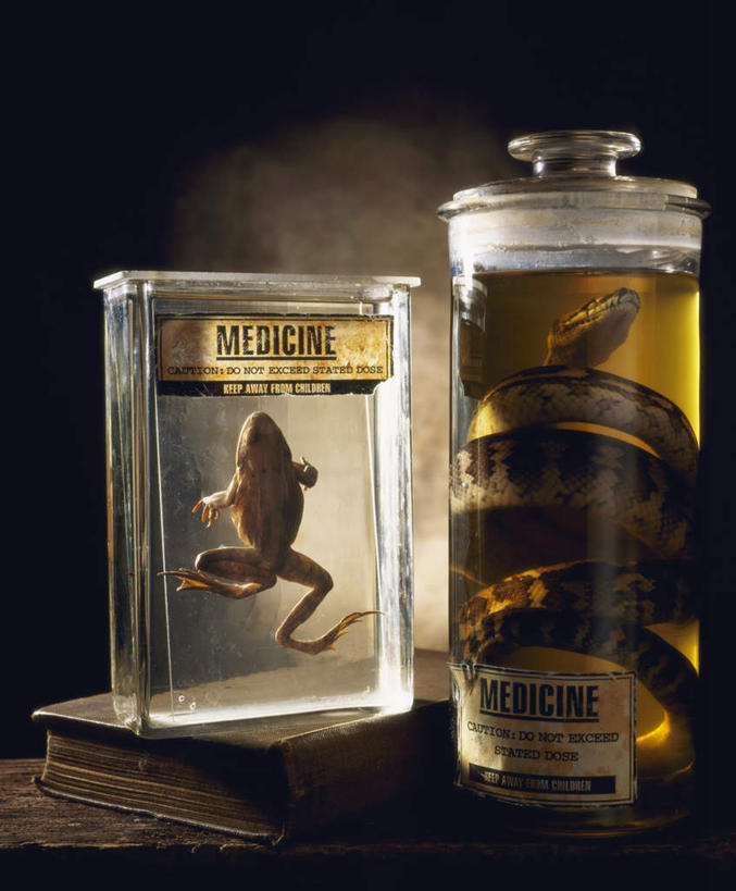 无人,竖图,室内,特写,白天,正面,看书,阅读,青蛙,野生动物,静物,书籍,浸泡,学习,阴影,光线,英文,爬行动物,蛇,标本,标志,罐子,文字,影子,字符,字母,标识,玻璃制品,一只,黄色,阳光,动物,玻璃瓶,瓶子,书本,看,可爱,读书,浏览,活泼,英文字母,冷血动物,凶猛,脊椎动物,长虫,残暴,凶残,书,图书,彩图,冷血