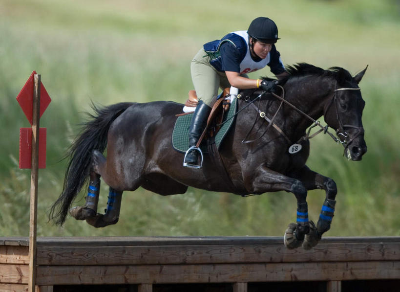 西方人,脸,头,眼睛,鼻子,嘴,脸颊,眉毛,睫毛,一个人,横图,室外,白天,侧面,草地,草坪,植物,指示牌,马,野生动物,帽子,欧洲,欧洲人,瞳孔,仅一个男性,仅一个人,阴影,反射,标志,木板,头盔,文字,影子,注视,标识,一匹,草,仅一个年轻男性,绿色,动物,安全帽,观察,看,运输,眼部,牲畜,观看,察看,关注,马靴,跑马,赛马,男人,男性,年轻男性,白种人,头部,鼻,鼻孔,睫,口,口腔,脸部,脸蛋,眉,面部,眼,眼睫毛,眼眉,嘴巴,嘴唇,彩图,全身,眼眉毛