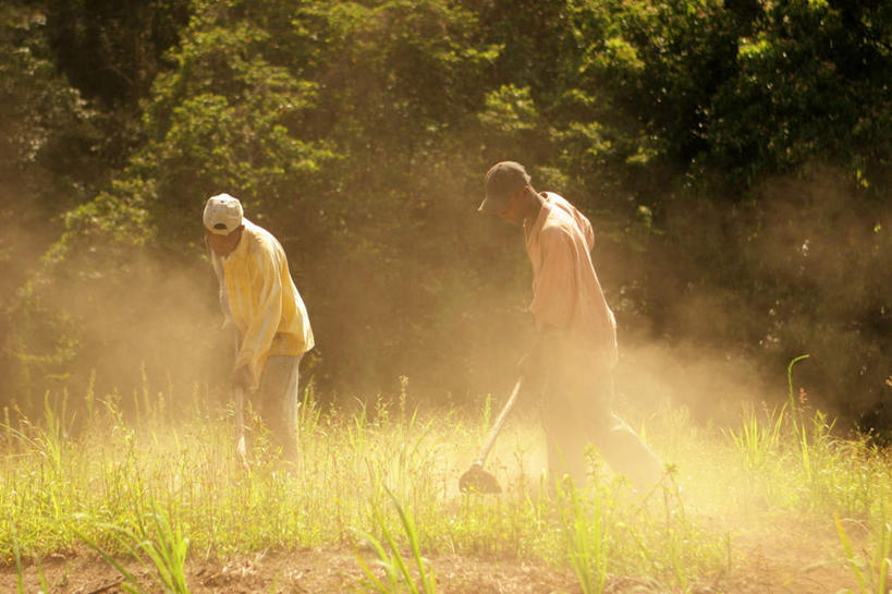 西方人,两个人,伙伴,朋友,农田,站,横图,室外,白天,正面,友谊,庄稼,农作物,草地,草坪,植物,欧洲,欧洲人,握,阴影,朦胧,模糊,光线,工具,影子,拿,尘埃,拿着,注视,草,树,树木,绿色,阳光,自然,低头,观察,看,站着,握着,生长,成长,观看,灰尘,尘土,察看,关注,对象,友情,男人,男性,中年男性,白种人,站立,半身,彩图,耕地,庄稼田