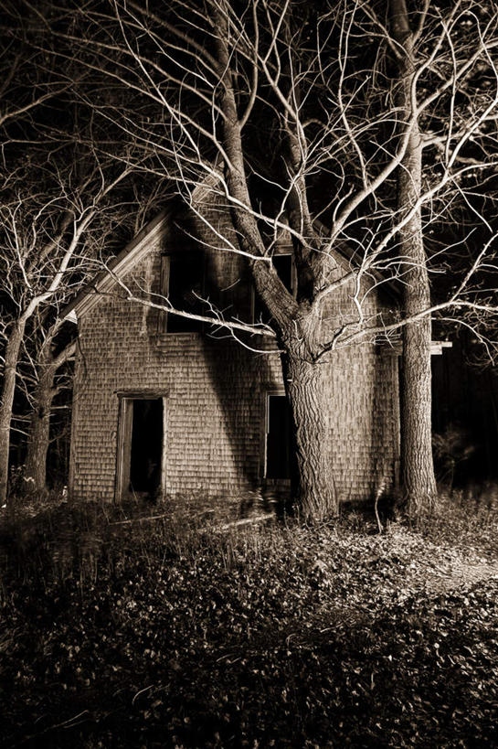 无人,家,竖图,黑白,室外,夜晚,正面,旅游,度假,草地,草坪,美景,植物,建筑,加拿大,阴影,反射,瓦片,影子,房屋,墙,屋檐,屋子,景观,瓦,娱乐,楼房,檐,墙壁,墙面,住宅,草,树,树木,绿色,自然,享受,休闲,景色,放松,建造,生长,成长,北美,北美洲,自然风光,美洲,新斯科舍,屋瓦,北亚美利加洲,亚美利加洲,新斯科舍省,房子