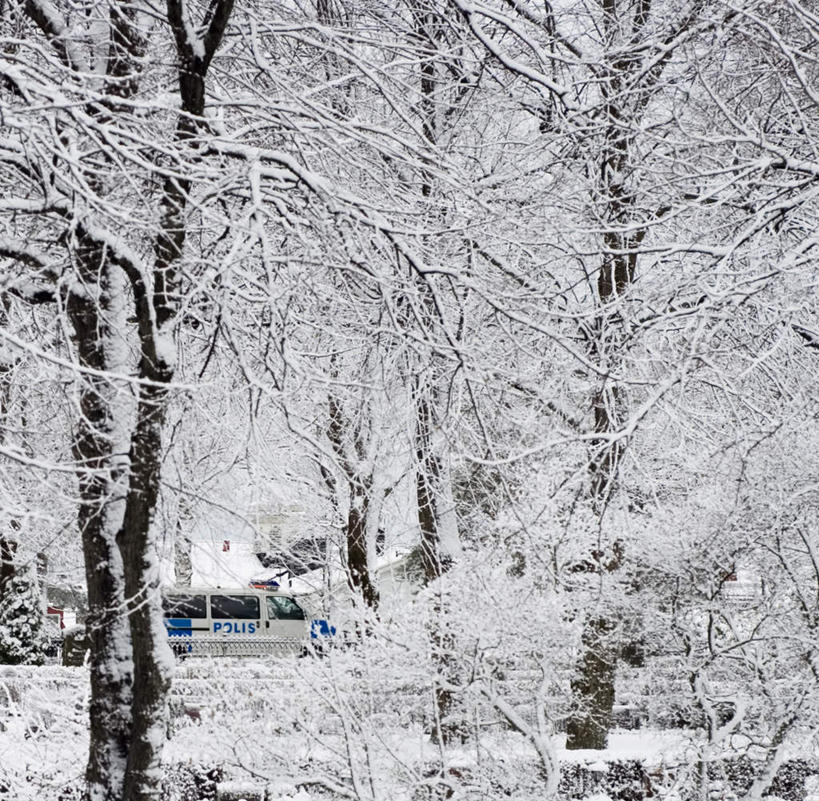 无人,横图,室外,白天,正面,旅游,度假,美景,树林,雪,植物,雾,大雪,汽车,警车,松树,瑞典,欧洲,一辆,朦胧,模糊,冰,积雪,景观,雪景,冬季,冬天,娱乐,车,树,树木,绿色,自然,交通工具,轿车,享受,休闲,景色,放松,寒冷,生长,成长,迷雾,冰冷,斯堪的纳维亚,自然风光,载具,北欧,斯堪的纳维亚半岛,坚定,长寿,严寒,冰凉,酷寒,凛冽,凛凛,贞洁,极冷,瑞典王国,大雾,彩图