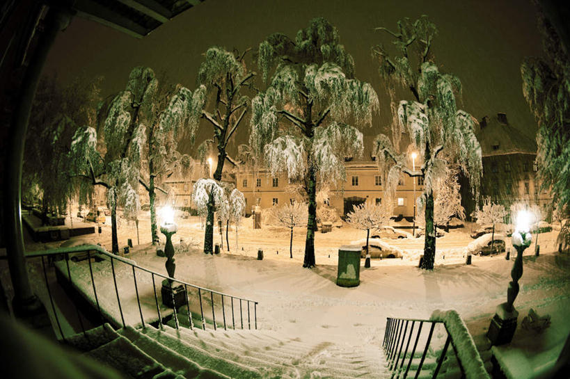 无人,家,栏杆,横图,室外,夜晚,正面,广角镜头,鱼眼镜头,雪,植物,大雪,楼梯,路灯,照明,欧洲,斯洛文尼亚,一排,阴影,环保,整齐,光线,扶手,影子,房屋,阶梯,屋子,积雪,雪景,冬季,冬天,灯光,垃圾桶,护栏,楼房,台阶,住宅,灯,树,树木,排列,一个,绿色,自然,容器,寒冷,生长,能源,单个,成长,储藏,垃圾箱,照亮,回收,资源,照明设备,储存,队列,利用,低碳,循环,中欧,严寒,持续,斯洛文尼亚共和国,彩图,房子,贮存