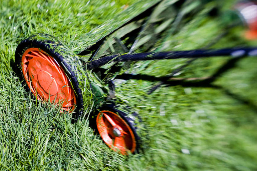 无人,横图,俯视,室外,特写,白天,草地,草坪,植物,阴影,模糊,光线,轮子,影子,草,绿色,阳光,割草机,含糊,恍惚,模胡,依稀,隐约,彩图,高角度拍摄