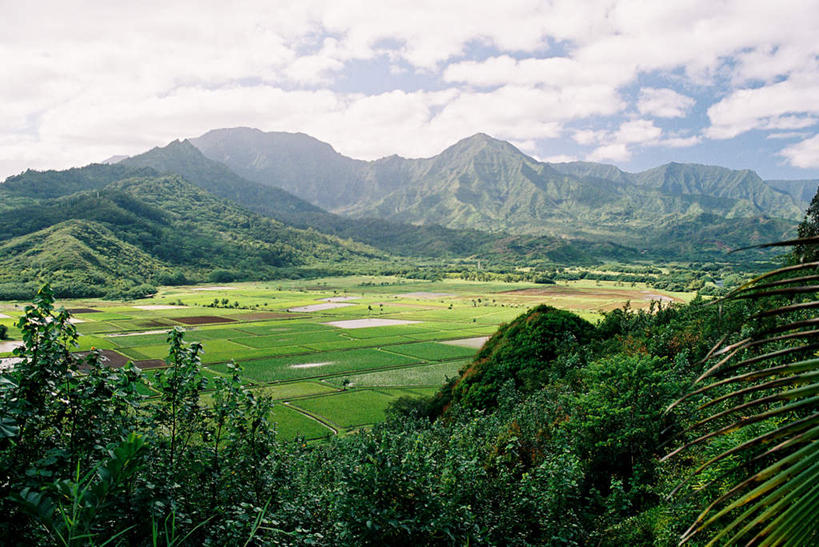 无人,横图,室外,白天,正面,旅游,度假,草地,草坪,岛屿,石头,美景,森林,山,山脉,树林,植物,夏威夷,美国,石子,景观,山峰,云,云朵,山峦,云彩,娱乐,草,树,树木,蓝色,绿色,白云,蓝天,天空,自然,群山,天,享受,休闲,景色,放松,生长,晴朗,成长,北美,北美洲,自然风光,美洲,夏威夷州,爱洛哈之州,可爱岛,考艾岛,考爱岛,北亚美利加洲,亚美利加洲,花园之岛,列岛,群岛,石块,岩石,诸岛,晴空,彩图