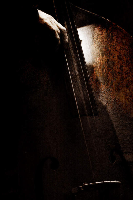 西方人,一个人,坐,竖图,室内,白天,正面,欧洲,欧洲人,仅一个男性,仅一个人,大提琴,乐器,弦乐器,注视,仅一个年轻男性,观察,看,观看,察看,关注,弓拉弦乐器,弓拉弦鸣乐器,男人,男性,年轻男性,白种人,坐着,半身,彩图