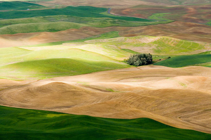 无人,横图,俯视,室外,白天,旅游,度假,农作物,小麦,草地,草坪,石头,美景,山,山脉,植物,华盛顿,美国,石子,景观,山峰,谷物,山峦,娱乐,草,树,树木,绿色,自然,群山,享受,休闲,稻谷,稻子,景色,放松,麦子,生长,成长,北美,北美洲,自然风光,美洲,华盛顿州,常绿之州,常青州,北亚美利加洲,亚美利加洲,石块,岩石,彩图,高角度拍摄