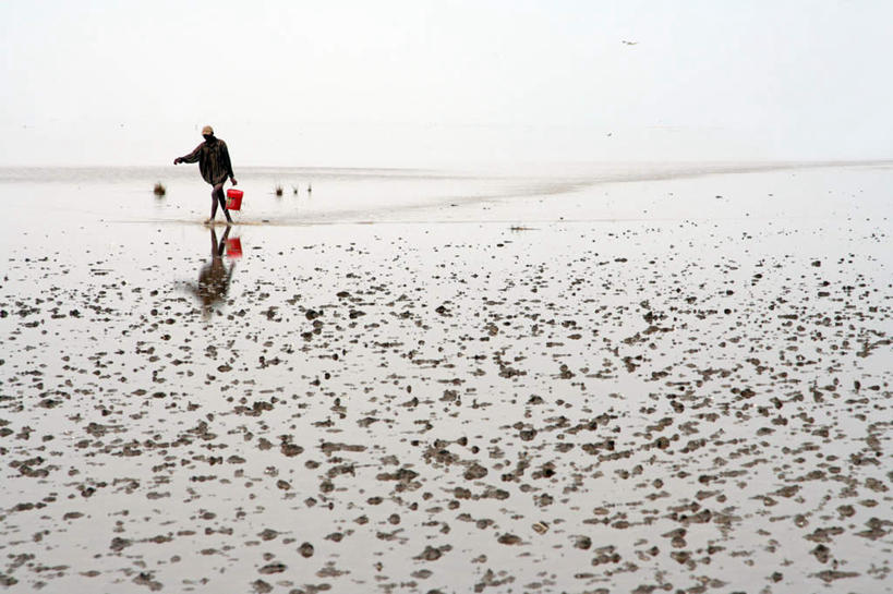 西方人,一个人,站,举,横图,室外,白天,正面,湖,湖泊,水,钓鱼竿,欧洲,非洲,黑人,欧洲人,仅一个男性,仅一个人,仅一个中年男性,阴影,光线,影子,湖面,水流,水面,云,云朵,云彩,蓝色,白云,蓝天,天空,阳光,湖水,天,托,站着,渔具,男人,男性,中年男性,非洲人,钓竿,鱼竿,举起,举手,举着,向上举,向上伸,向上托,站立,半身,彩图,钓鱼