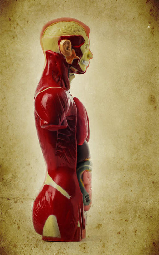 内脏,动脉,静脉,站,竖图,室内,白天,侧面,静物,医学,细胞,注视,模型,观察,看,站着,人体,观看,察看,生物学,人体器官,器官,关注,生理学,站立,半身,彩图