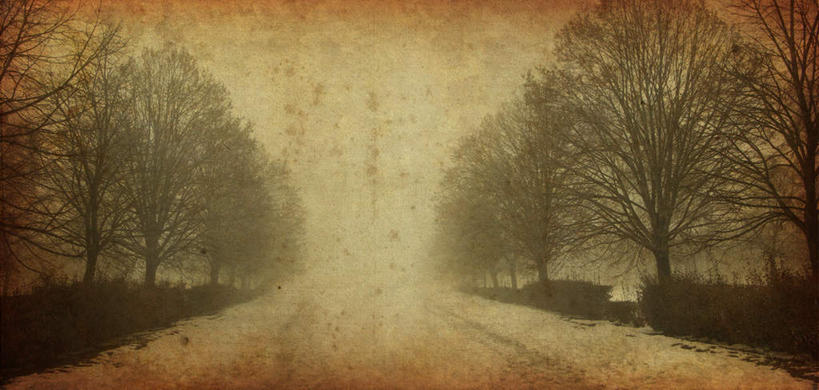 无人,公园,横图,全景,室外,白天,正面,旅游,度假,美景,植物,一排,许多,古老,朦胧,模糊,破旧,整齐,陈旧,景观,很多,历史,娱乐,树,树木,古代,排列,黄色,自然,享受,休闲,景色,放松,生长,成长,昏暗,队列,贫瘠,自然风光,古远,陈腐,灰暗,晦暗,瘠薄,羊皮纸,彩图