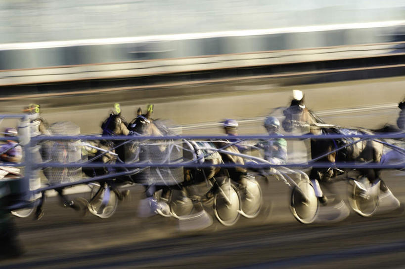 无人,横图,室外,白天,正面,马,野生动物,一群,许多,模糊,轮子,很多,动物,运输,牲畜,含糊,恍惚,模胡,依稀,隐约,跑马,赛马,半身,彩图