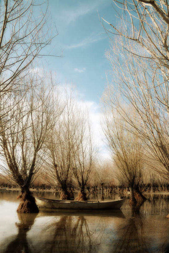 无人,竖图,室外,白天,仰视,旅游,度假,湖,湖泊,美景,水,植物,土耳其,亚洲,许多,平静,湖面,景观,水流,水面,云,云朵,枯树,枝条,很多,云彩,娱乐,树,树木,树枝,蓝色,白云,倒影,蓝天,天空,自然,湖水,天,享受,休闲,景色,放松,晴朗,宁静,沼泽,倒映,自然风光,西亚,泥泞,池沼,反照,虬枝,枝杈,晴空,彩图,低角度拍摄,土耳其共和国