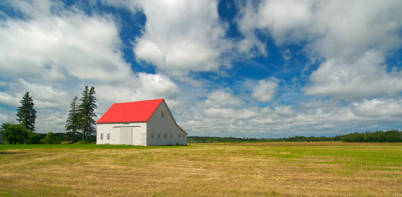 无人,家,横图,室外,白天,仰视,旅游,度假,草地,草坪,美景,植物,阴影,光线,影子,房屋,屋子,景观,云,云朵,云彩,娱乐,楼房,住宅,草,树,树木,蓝色,绿色,白云,蓝天,天空,阳光,自然,天,享受,休闲,景色,放松,生长,晴朗,成长,自然风光,一间,晴空,彩图,低角度拍摄,房子
