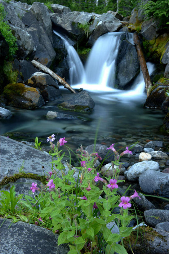 无人,竖图,室外,白天,正面,旅游,度假,石头,美景,瀑布,树林,水,植物,阴影,波纹,飞溅,盛开,溅,光线,石子,液体,影子,景观,水滴,涟漪,花蕾,娱乐,水珠,花,花瓣,花朵,鲜花,树,树木,绿色,水纹,阳光,自然,波浪,花苞,花蕊,享受,休闲,景色,放松,生长,成长,总统,乔治.华盛顿,喷洒,自然风光,水晕,军事家,政治家,开国总统,美国总统,跌水,石块,岩石,彩图