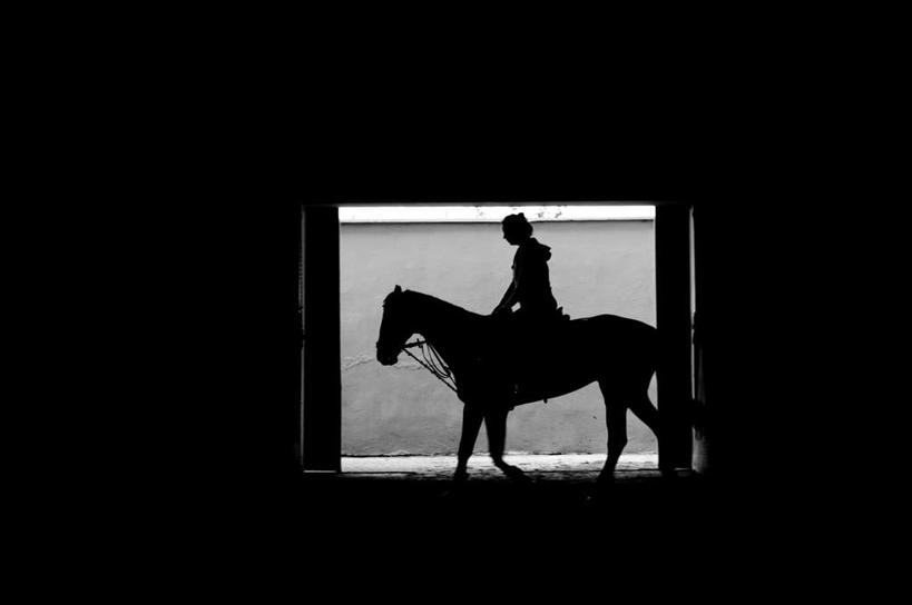 西方人,一个人,坐,走,横图,室外,白天,侧面,旅游,度假,马,野生动物,欧洲,欧洲人,仅一个年轻女性,仅一个女性,仅一个人,草场,娱乐,一匹,骑,动物,享受,休闲,放松,运输,牲畜,年轻女性,女人,女性,白种人,步行,散步,走路,坐着,彩图,全身