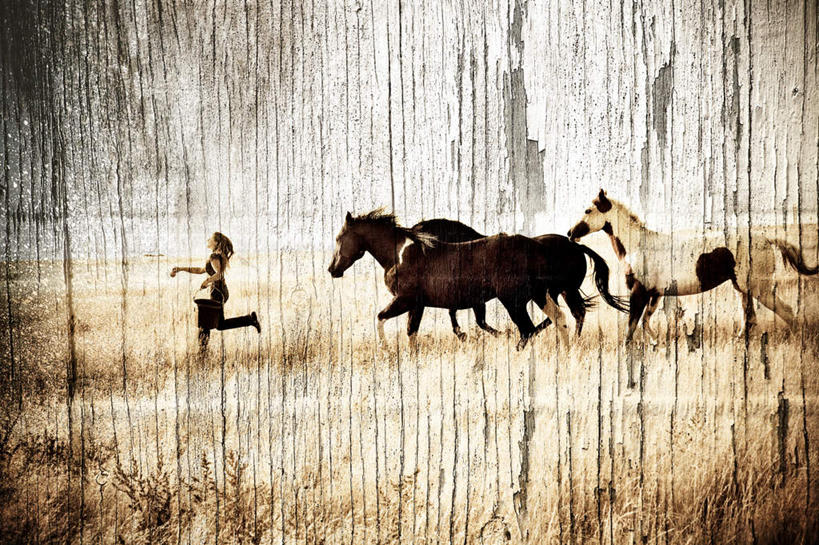 西方人,一个人,横图,室外,白天,正面,马,野生动物,欧洲,欧洲人,仅一个年轻女性,仅一个女性,仅一个人,阴影,光线,影子,墙,墙壁,墙面,阳光,动物,运输,牲畜,三匹,年轻女性,女人,女性,白种人,半身,彩图