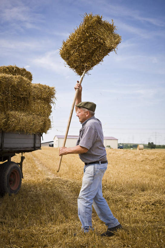 西方人,一个人,农民,举,竖图,室外,白天,侧面,欧洲,欧洲人,仅一个男性,仅一个人,一堆,许多,握,堆叠,堆积,云,云朵,干草,拿,云彩,拿着,注视,仅一个年轻男性,蓝色,白云,蓝天,天空,草垛,天,观察,看,托,握着,晴朗,观看,堆,察看,关注,草耙,干草垛,男人,男性,年轻男性,白种人,晴空,佃农,农场主,农夫,农工,乡下人,小农,庄稼人,举起,举手,举着,向上举,向上伸,向上托,彩图,全身