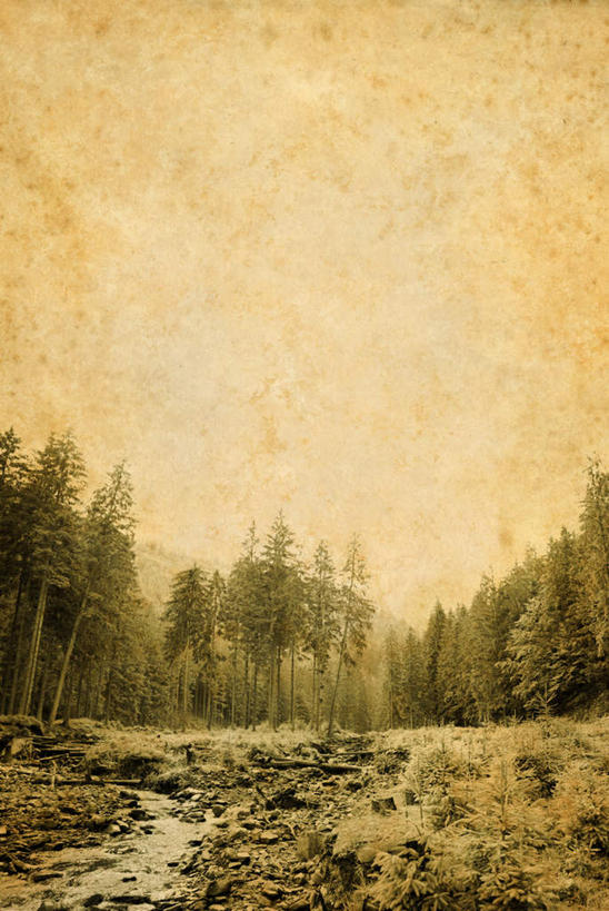 无人,竖图,室外,白天,正面,旅游,度假,草地,草坪,美景,日落,山,山脉,树林,植物,道路,路,欧洲,乌克兰,景观,山峰,晚霞,霞光,落日,小路,交通,山峦,娱乐,草,树,树木,蓝色,绿色,蓝天,天空,自然,黄昏,群山,天,享受,休闲,景色,彩霞,放松,生长,成长,自然风光,东欧,乌克兰共和国,夕照,夕阳,彩图,斜阳