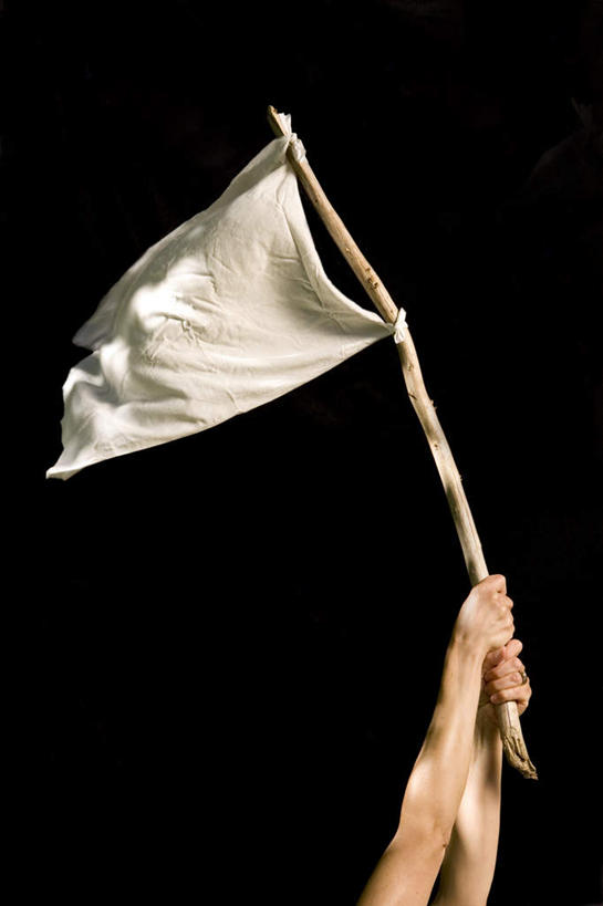 西方人,一个人,站,举,竖图,室内,特写,白天,正面,旗帜,欧洲,欧洲人,仅一个年轻女性,仅一个女性,仅一个人,黑色背景,木制,旗杆,白色,木制品,托,站着,摄影,影棚,投降,佩服,降服,投诚,年轻女性,女人,女性,白种人,屈膝,举起,举手,举着,向上举,向上伸,向上托,站立,半身,彩图,影棚拍摄,拍摄