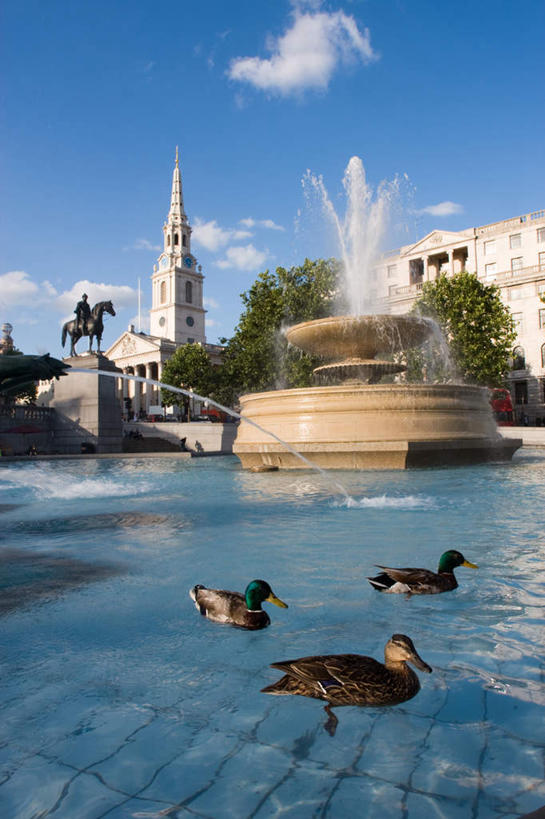 无人,竖图,室外,白天,仰视,旅游,度假,名胜古迹,植物,标志建筑,地标,建筑,喷泉,野生动物,阴影,清澈,遗迹,光线,鸭子,影子,景观,云,云朵,云彩,古迹,文化,文物,娱乐,建设,古建筑,树,树木,蓝色,绿色,白云,蓝天,天空,阳光,自然,动物,天,品味,享受,休闲,旅游胜地,放松,可爱,活泼,生长,晴朗,成长,游动,水景,古文明,美观,明澈,清彻,清亮,设计,晴空,彩图,低角度拍摄