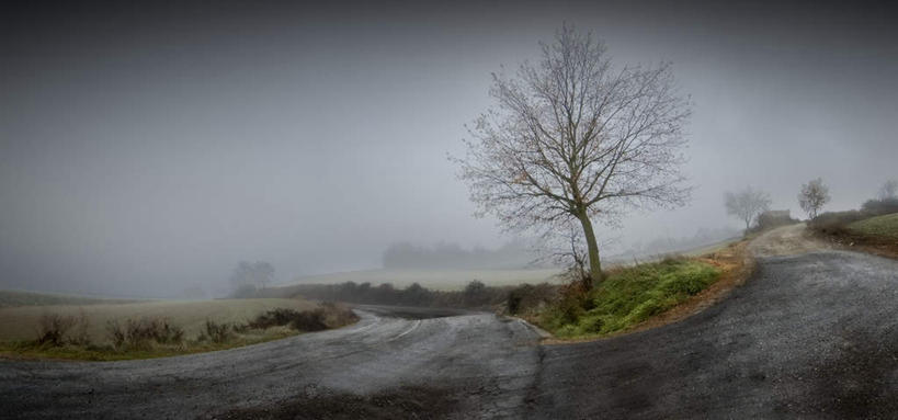 无人,横图,室外,白天,正面,旅游,度假,草地,草坪,美景,雨,植物,暴雨,雾,大雨,道路,路,公路,朦胧,模糊,围绕,景观,乌云,云,阴天,云朵,枝条,交通,凌晨,清晨,云彩,娱乐,草,树,树木,树枝,天空,自然,天,享受,休闲,景色,放松,缭绕,细雨,迷雾,昏暗,阴沉,早晨,自然风光,旋绕,萦绕,灰暗,晦暗,虬枝,枝杈,回绕,大雾,小雨,马路,彩图