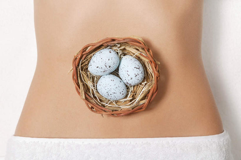 西方人,腹部,一个人,交叉,横图,俯视,室内,特写,白天,白色背景,欧洲,欧洲人,仅一个年轻女性,仅一个女性,仅一个人,阴影,编织,反射,鸟巢,鸟窝,影子,斑点,蛋,枝条,裸露,树枝,三个,摄影,影棚,鸟蛋,交织,裸,卵,穿插,虬枝,枝杈,年轻女性,女人,女性,白种人,腹,肚子,半身,彩图,高角度拍摄,影棚拍摄,拍摄