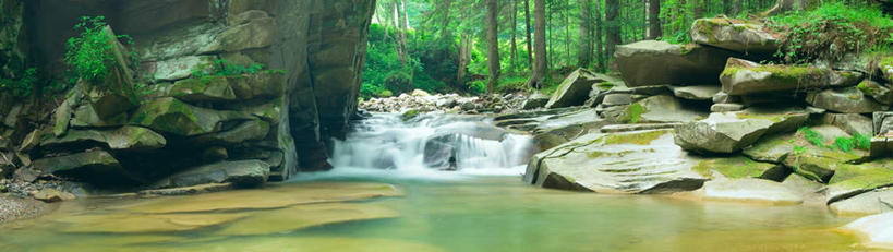 无人,横图,室外,白天,正面,旅游,度假,草地,草坪,河流,美景,树林,水,植物,欧洲,乌克兰,阴影,光线,影子,河水,景观,水流,娱乐,草,树,树木,绿色,小溪,阳光,自然,溪水,享受,休闲,景色,放松,生长,成长,自然风光,东欧,乌克兰共和国,彩图