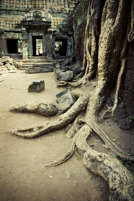 无人,竖图,俯视,室外,白天,旅游,度假,荒凉,石头,植物,楼梯,门,标志建筑,地标,建筑,古老,干枯,石子,阶梯,娱乐,建设,台阶,树,树木,绿色,自然,门框,享受,休闲,旅游胜地,放松,生长,成长,干涸,凋谢,陈腐,枯槁,荒地,荒芜,石块,岩石,彩图,高角度拍摄