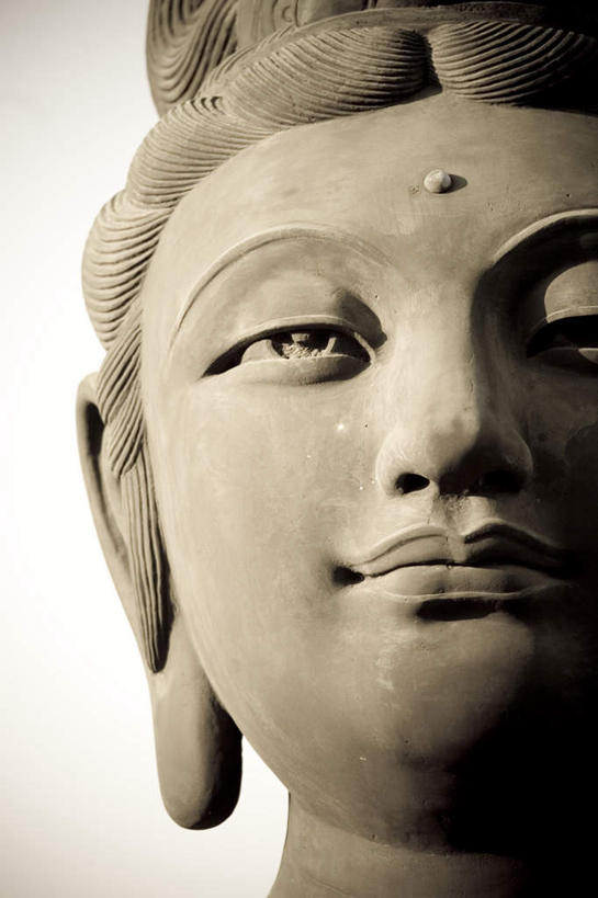 脸,头,脸颊,无人,寺庙,竖图,室外,特写,白天,仰视,旅游,度假,名胜古迹,标志建筑,地标,建筑,雕塑,香港,中国,亚洲,一座,节日,遗迹,艺术,装饰,雕刻,雕像,佛像,燃烧,古迹,文化,文物,娱乐,建设,古建筑,石雕,香火,工艺品,庙宇,祈祷,享受,休闲,健康,旅游胜地,放松,许愿,宗教,佛教,信仰,纪念,祈求,美术,港,主题,陈列,古文明,东亚,大屿山,宝莲寺,香港特别行政区,港澳台,中华人民共和国,功能,美学,释教,宝莲禅寺,平安,头部,脸部,脸蛋,面部,彩图,低角度拍摄,庙,寺