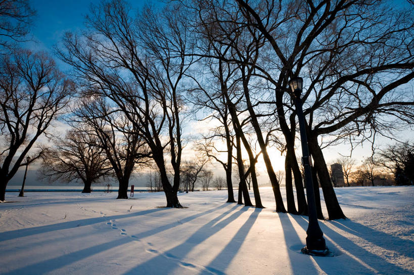 无人,横图,室外,白天,正面,旅游,度假,美景,雪,植物,大雪,加拿大,覆盖,阴影,光线,影子,积雪,景观,雪景,云,云朵,冬季,冬天,枝条,云彩,娱乐,树,树木,树枝,蓝色,白云,蓝天,天空,阳光,自然,天,享受,休闲,景色,放松,寒冷,晴朗,北美,北美洲,自然风光,美洲,遮盖,多伦多,省会,北亚美利加洲,亚美利加洲,严寒,笼罩,安大略省,安省,北方好莱坞,多伦多市,笼盖,虬枝,枝杈,晴空,彩图