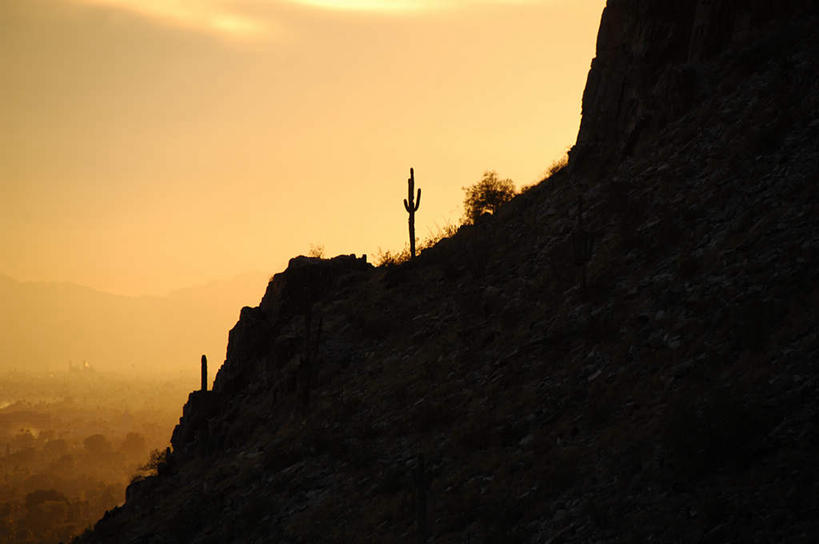 无人,横图,室外,白天,正面,旅游,度假,草地,草坪,美景,日落,山,山脉,植物,城市,仙人掌,美国,火焰,景观,山峰,晚霞,霞光,落日,草药,山峦,背光,娱乐,中药,草,树,树木,蓝色,绿色,蓝天,天空,自然,黄昏,群山,天,享受,休闲,景色,彩霞,放松,生长,成长,亚利桑那,北美,北美洲,自然风光,美洲,药材,中草药,逆光,亚利桑那州,凤凰城,中药材,本草,菲尼克斯,大峡谷之州,首府,牛舌头,北亚美利加洲,亚美利加洲,夕照,夕阳,玉芙蓉,仙巴掌,火掌,霸王树,彩图,斜阳