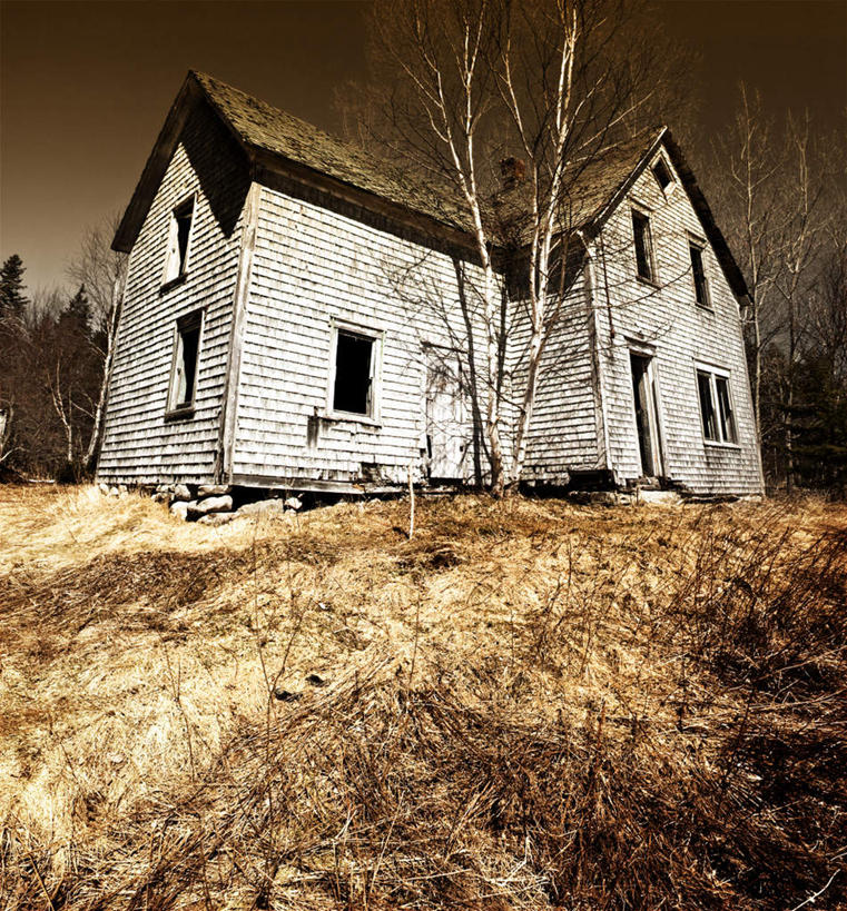 无人,家,竖图,室外,白天,仰视,度假,美景,森林,树林,植物,城市风光,城市,加拿大,枯萎,房屋,屋子,景观,云,云朵,枯草,枝条,云彩,娱乐,楼房,住宅,草,树,树木,树枝,黄色,绿色,白云,天空,天,享受,休闲,景色,放松,生长,成长,北美,北美洲,美洲,新斯科舍,北亚美利加洲,亚美利加洲,布雷顿角岛,新斯科舍省,虬枝,枝杈,彩图,低角度拍摄,房子