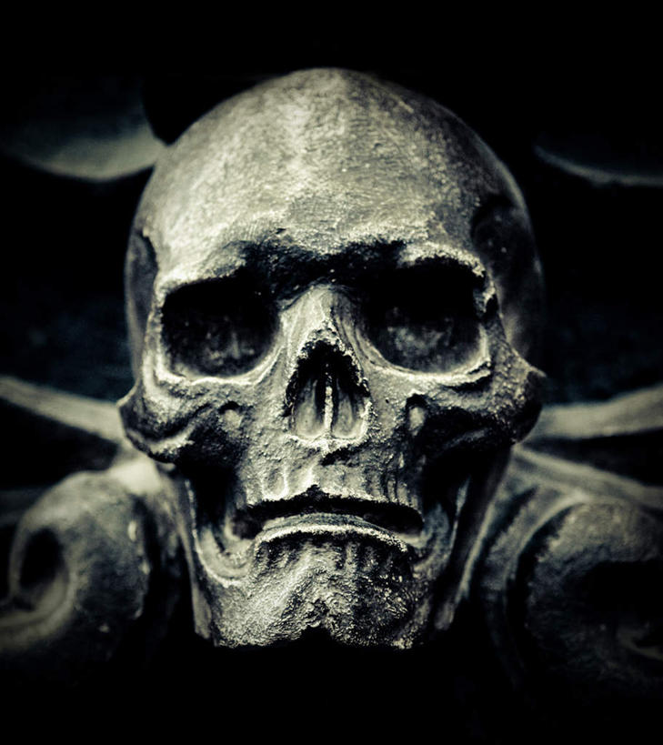 颅骨,无人,竖图,室外,特写,白天,正面,光晕,朦胧,模糊,骷髅,一个,墓地,单个,坟墓,陵墓,昏暗,恐怖,坟场,可怕,可骇,鼻骨,顶骨,额骨,颈椎,颞骨,下颌骨,颧骨,灰暗,晦暗,墓穴,泉台,恐惧,头盖骨,彩图