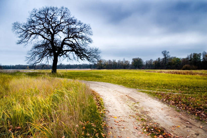 无人,横图,室外,白天,正面,旅游,度假,草地,美景,树林,植物,道路,路,弯曲,景观,云,云朵,小路,交通,云彩,娱乐,草,树,树木,蓝色,绿色,白云,蓝天,天空,自然,天,享受,休闲,景色,放松,乡间小路,生长,晴朗,成长,自然风光,转弯,晴空,彩图