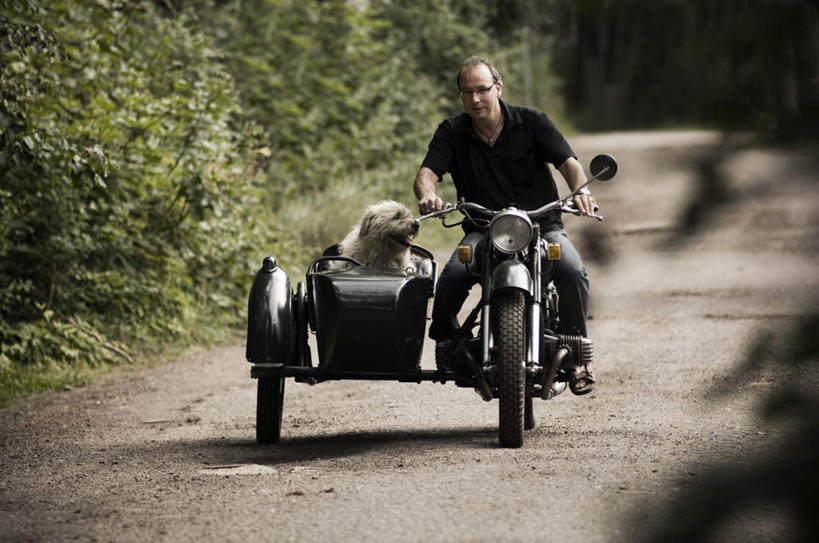 西方人,一个人,坐,横图,室外,白天,正面,草地,草坪,植物,道路,路,摩托车,宠物,狗,欧洲,欧洲人,仅一个男性,仅一个人,仅一个中年男性,阴影,服装,光线,影子,小路,交通,注视,休闲装,车,草,树,树木,衣服,绿色,阳光,自然,动物,交通工具,观察,开车,看,休闲,休闲服,可爱,服饰,乡间小路,生长,成长,观看,察看,关注,载具,忠诚,男人,男性,中年男性,白种人,犬,坐着,彩图,全身