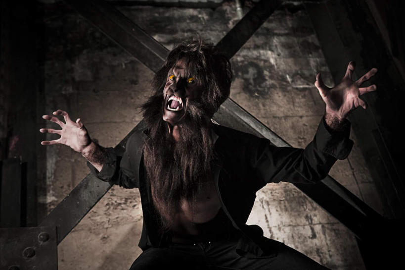 西方人,一个人,站,横图,室内,白天,正面,哺乳动物,野生动物,狮子,欧洲,欧洲人,仅一个男性,仅一个人,节日,庆祝,钢铁,注视,文化,仅一个年轻男性,动物,观察,看,站着,庆典,万圣节,夸张,观看,纪念,察看,猛烈,关注,凶猛,凶悍,勇猛,厉害,夸大,残暴,凶残,男人,男性,年轻男性,白种人,站立,彩图,全身