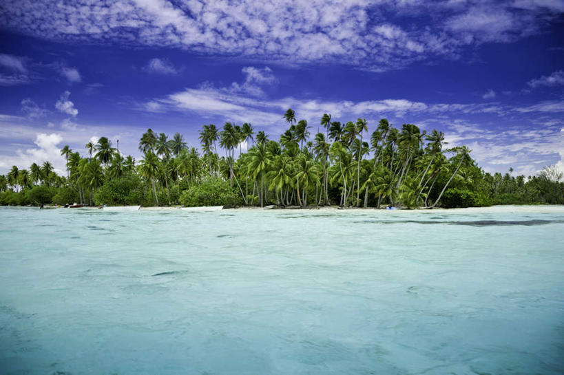 无人,横图,室外,白天,正面,旅游,度假,海浪,海洋,美景,树林,植物,景观,浪花,云,云朵,云彩,娱乐,树,树木,蓝色,绿色,白云,蓝天,天空,自然,海水,天,享受,休闲,景色,放松,生长,晴朗,成长,自然风光,美洲,海景,亚美利加洲,加勒比,加勒比国家联盟,大海,风浪,海,海水的波动,近岸浪,涌浪,晴空,彩图