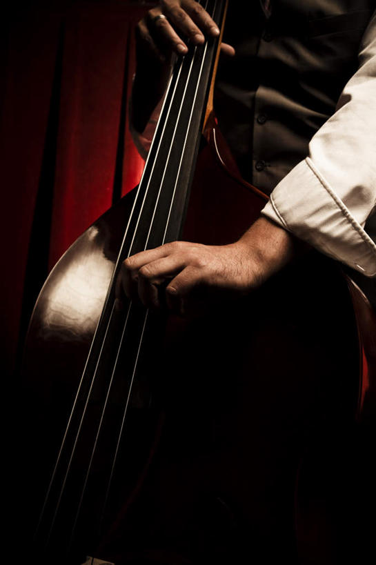 西方人,手,一个人,站,竖图,室内,白天,正面,兴奋,热情,欧洲,欧洲人,仅一个男性,仅一个人,握,阴影,反射,影子,大提琴,乐器,弦乐器,开放,拿,拿着,仅一个年轻男性,红色,站着,健康,温暖,手部,奔放,活力,积极,激情,握着,帷幕,朝气,暖色,吉祥,生命,帷幔,弓拉弦乐器,弓拉弦鸣乐器,幕布,幕帘,饱满,革命,热烈,赤色,充实,斗志,喜气,主动,帷幔布,低音提琴,男人,男性,年轻男性,白种人,站立,半身,彩图,欢乐