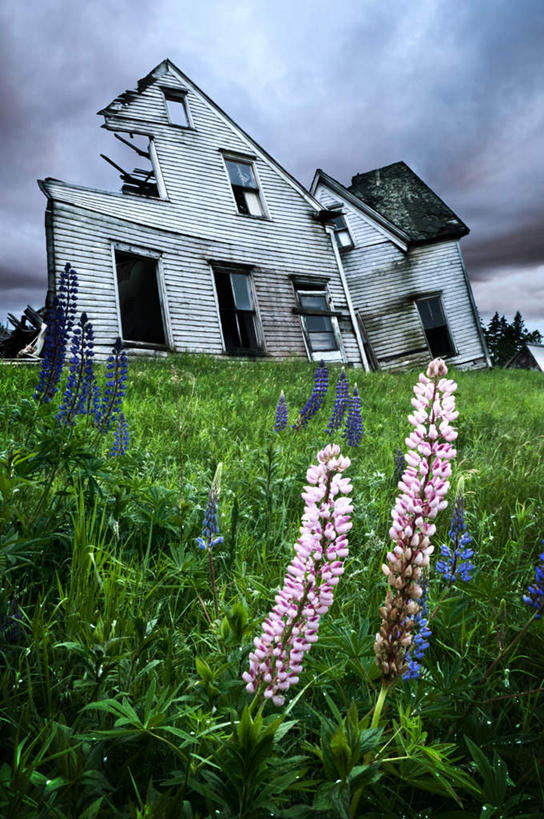 无人,家,竖图,室外,白天,仰视,旅游,度假,草地,草坪,美景,植物,加拿大,阴影,光线,影子,房屋,屋子,景观,破坏,娱乐,楼房,破损,住宅,草,蓝色,绿色,蓝天,天空,阳光,自然,天,享受,休闲,景色,放松,晴朗,损坏,北美,北美洲,自然风光,美洲,丢弃,抛弃,万里无云,北亚美利加洲,亚美利加洲,爱德华王子岛,遗弃,摈弃,扔掉,扔弃,甩掉,扬弃,晴空,晴空万里,彩图,低角度拍摄,房子