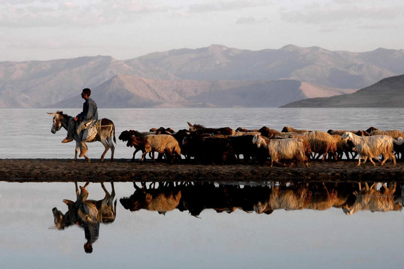 西方人,一个人,走,横图,全景,室外,白天,侧面,旅游,度假,河流,美景,水,天际线,道路,羊,欧洲,欧洲人,仅一个男性,仅一个人,仅一个中年男性,一群,许多,阴影,平静,光线,影子,河水,景观,水流,很多,牧羊人,注视,娱乐,骑,倒影,天空,阳光,自然,动物,天,观察,看,享受,休闲,家畜,景色,放松,牲畜,观看,宁静,察看,倒映,昏暗,关注,自然风光,驴子,灰暗,晦暗,反照,男人,男性,中年男性,白种人,山羊,绵羊,步行,散步,走路,彩图,全身