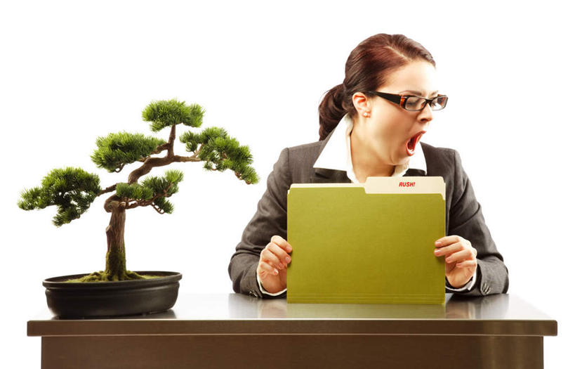 西方人,一个人,商务人士,商务女性,坐,横图,室内,白天,白色背景,正面,植物,桌子,欧洲,欧洲人,仅一个年轻女性,仅一个女性,仅一个人,握,阴影,套装,光线,材料,档案,盆栽,文件,眼镜,影子,办公桌,灯光,盆景,拿,拿着,扭头,注视,绿色,自然,资料,观察,看,转头,握着,摄影,影棚,生长,成长,观看,察看,哈欠,关注,文档,商务装,近视眼镜,工薪阶层,年轻女性,女人,女性,白种人,白领,上班族,坐着,半身,彩图,影棚拍摄,拍摄